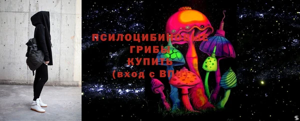 прущие крисы Гусь-Хрустальный