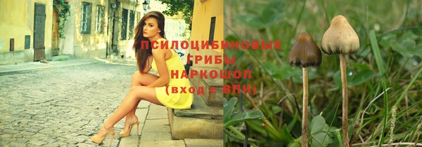 прущие крисы Гусь-Хрустальный